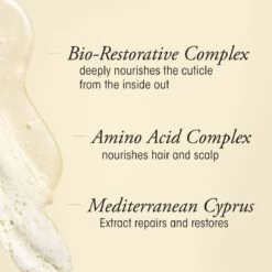 Oribe Gold Lust Repair & Restore Shampoo -Oribe Beauty webp01235001 jj alt4 3